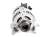 ALTERNATOR 2